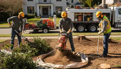 Arbor Tree Care removes overgrown shrubs in Greenville, NC for safe, efficient yard clearing