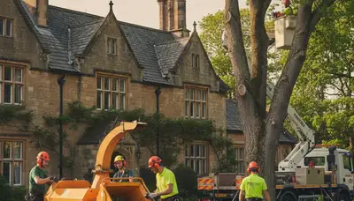 Tree service crew in Greenville, NC providing professional tree trimming and removal services